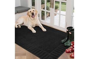 BEQHAUSE Large Door Mat Indoor, Super Absorbent Dirt Trapper Front Doormats Washable TPR Non-Slip Entrance Inside Floor Mats 