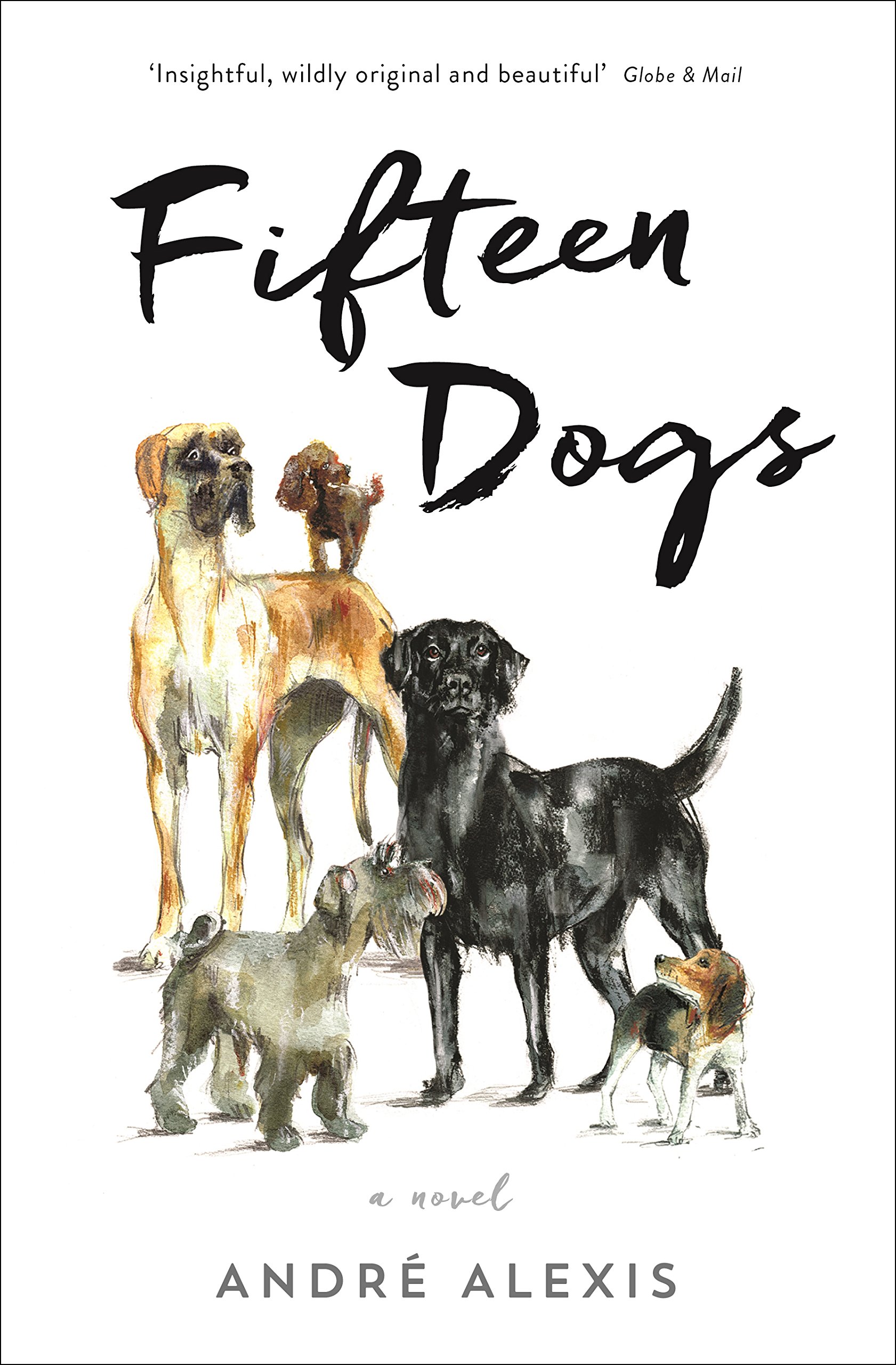 Fifteen Dogs Alexis Andre Amazon De Bucher