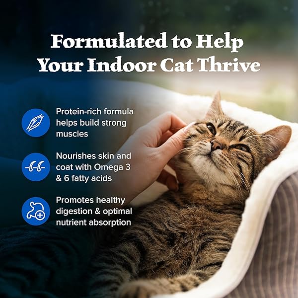 BLUE BUFFALO WILDERNESS NATURE’S EVOLUTIONARY DIET HIGH-PROTEIN, GRAIN-FREE NATURAL DRY FOOD FOR ADULT CATS, CHICKEN, 11-LB. BAG