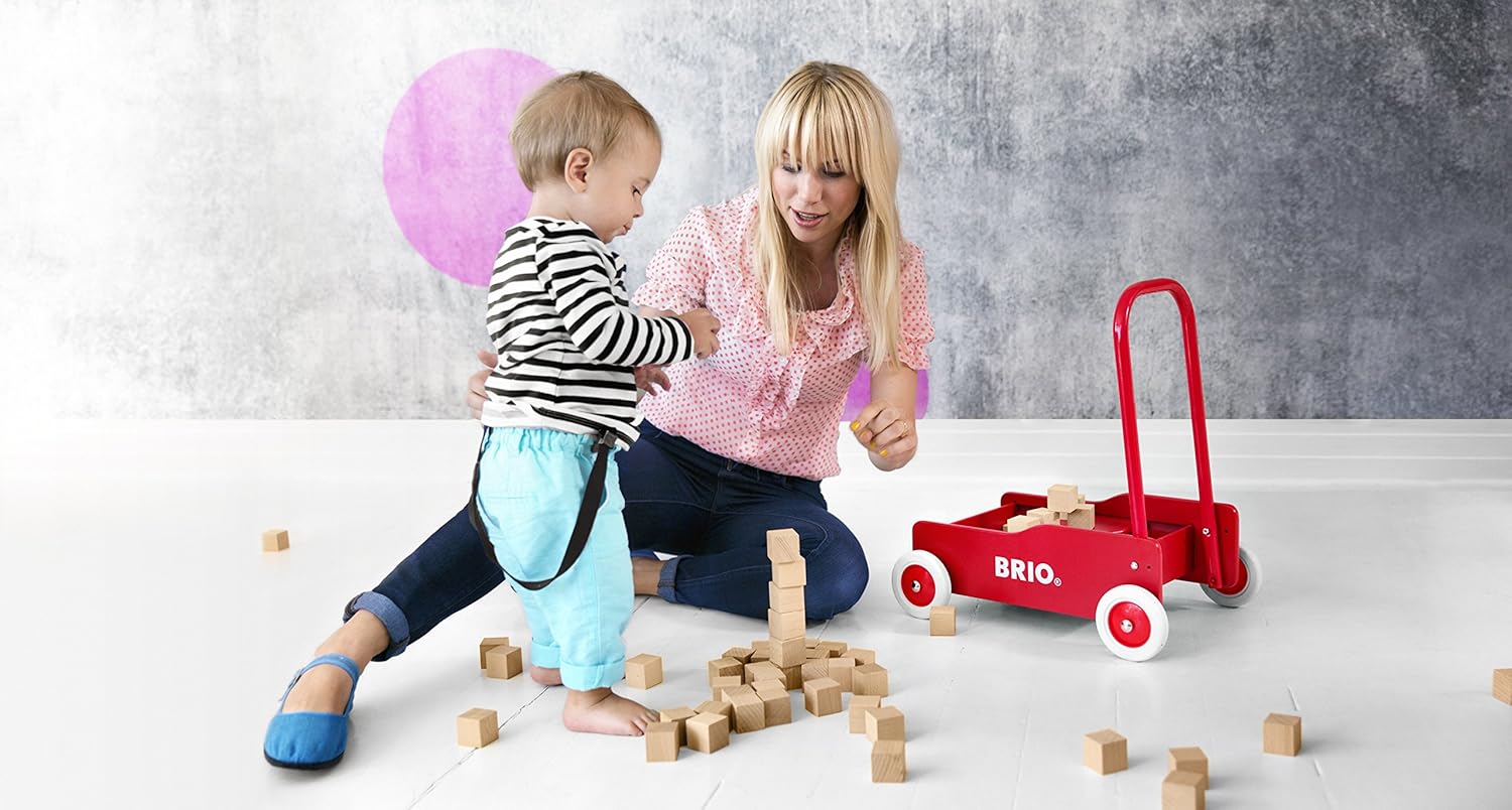 brio walker with blocks