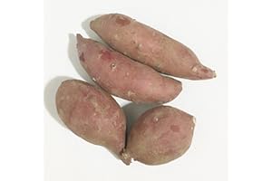 TROPICAL IMPORTERS Japanese Sweet Potato Boniato Oriental (3 Lbs)
