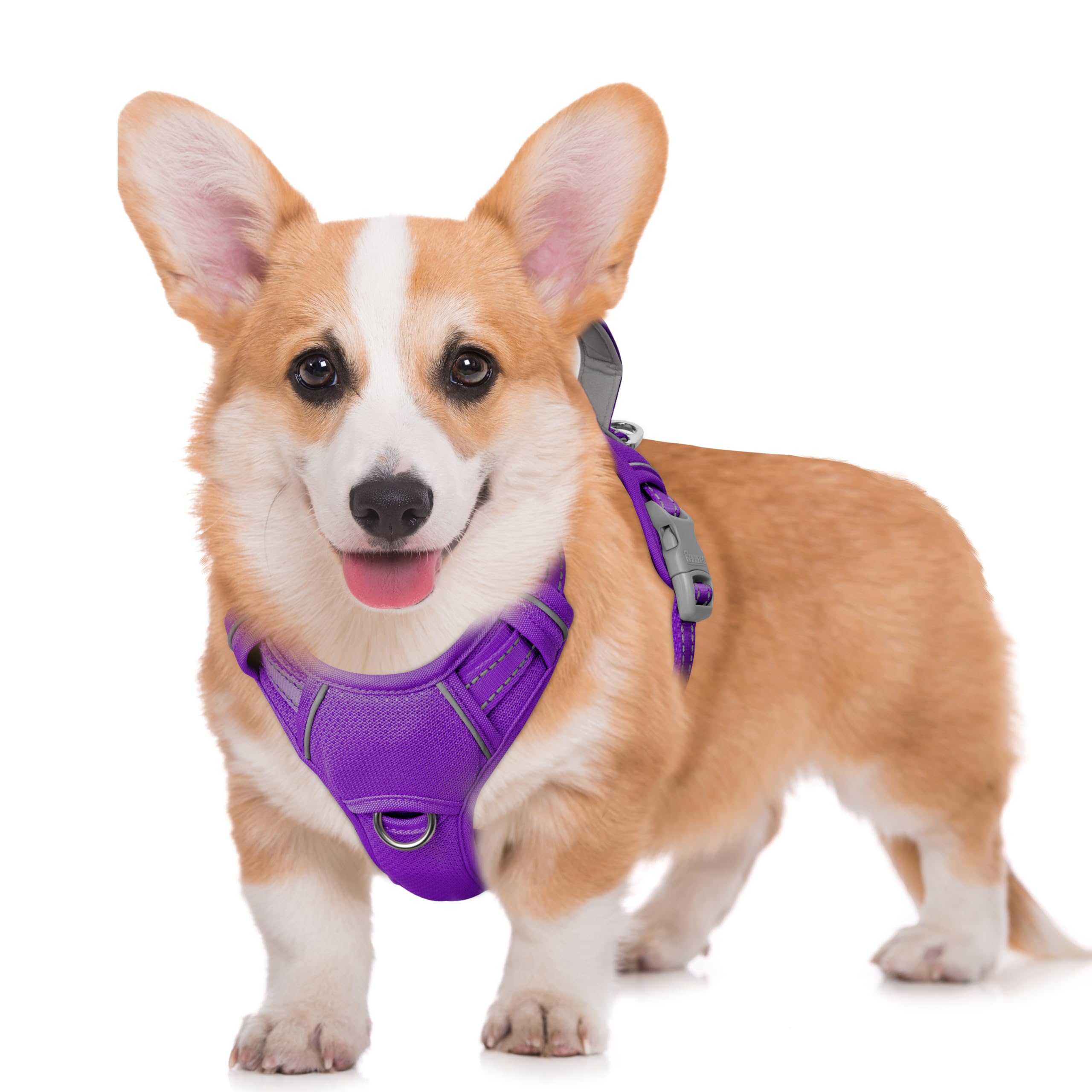 BARKBAY No Pull Dog Harness Front Clip Heavy Duty Reflective Easy Control Handle for Large Dog Walking with ID tag Pocket(Purple,M)