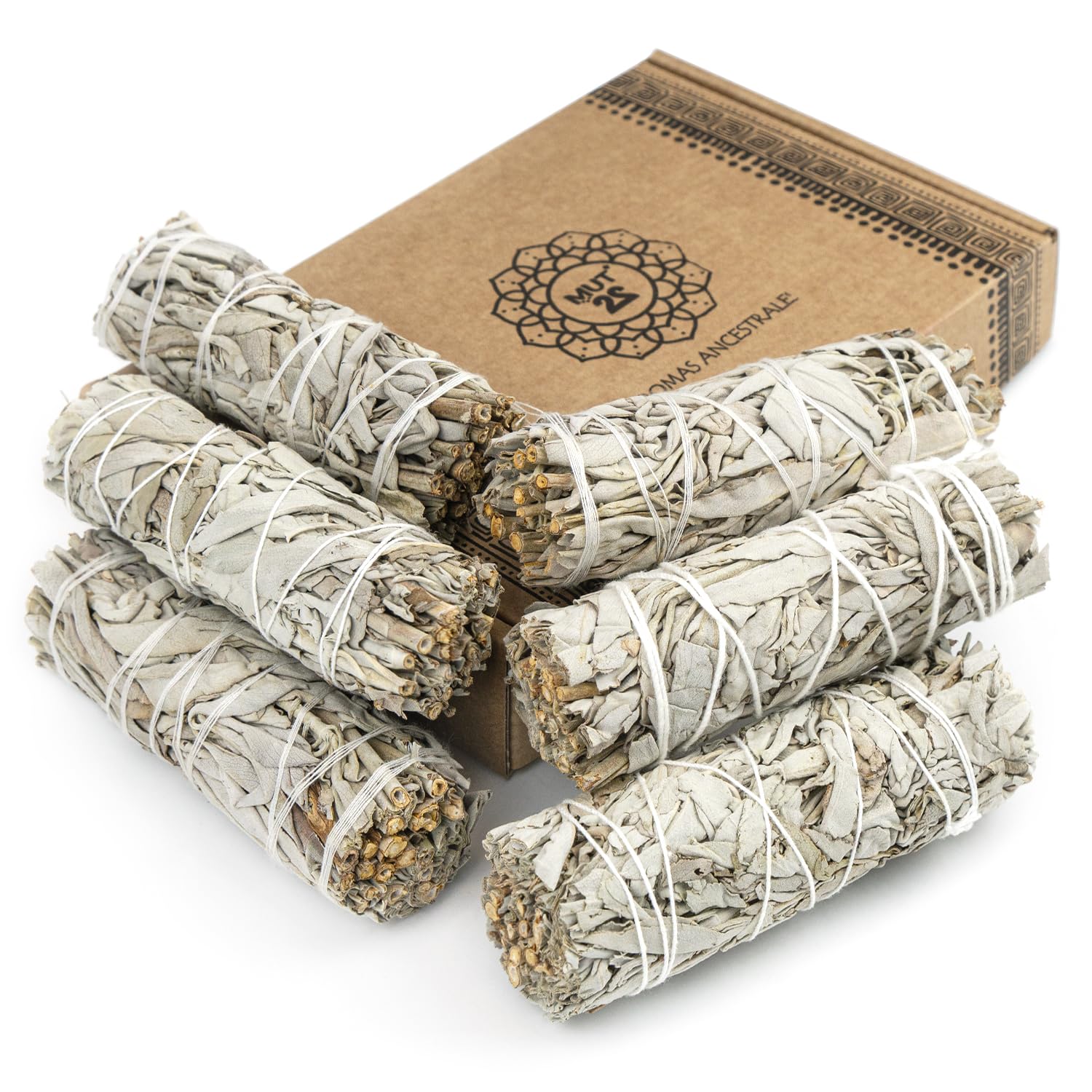 MUT22 6 Sacred White Sage for Burning, Purifying Herb and Harmony, 100% Natural Appian Sage, Ideal for Spiritual Cleansing and Energy Rituals