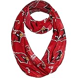 Littlearth NFL Sheer Infinity Scarf