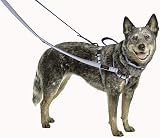 Halti Double Ended Lead For Dogs Small Purple 2m Neoprene Padded view 2
