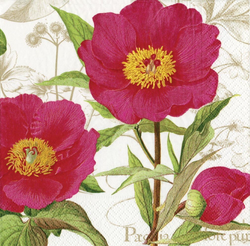 Entertaining with Caspari Victorian Peony Paper Luncheon