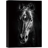 SIGNWIN Canvas Wall Art Headshot of a Black Horse Animals Wildlife Photography Modern Art Traditional Portrait Dramatic Black and White for Living Room, Bedroom, Office - 12x18 inches
