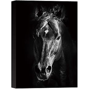 SIGNWIN Canvas Wall Art Headshot of a Black...