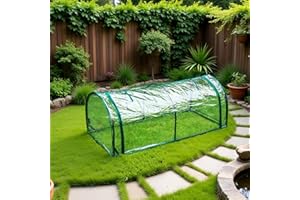 FLY BY YAN CQZY 4×2FT Greenhouse for Outside,Clear