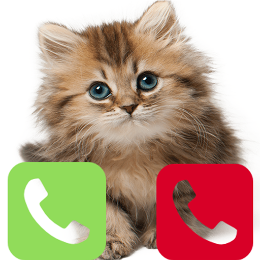 Prank Call from Cute Cat Fake (prank calling from pet