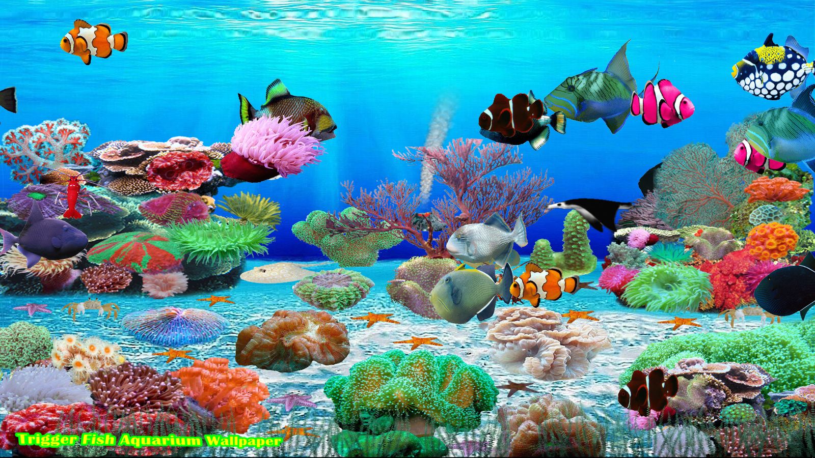 Trigger Fish Screen Saver [Download] - Thumbnail 3