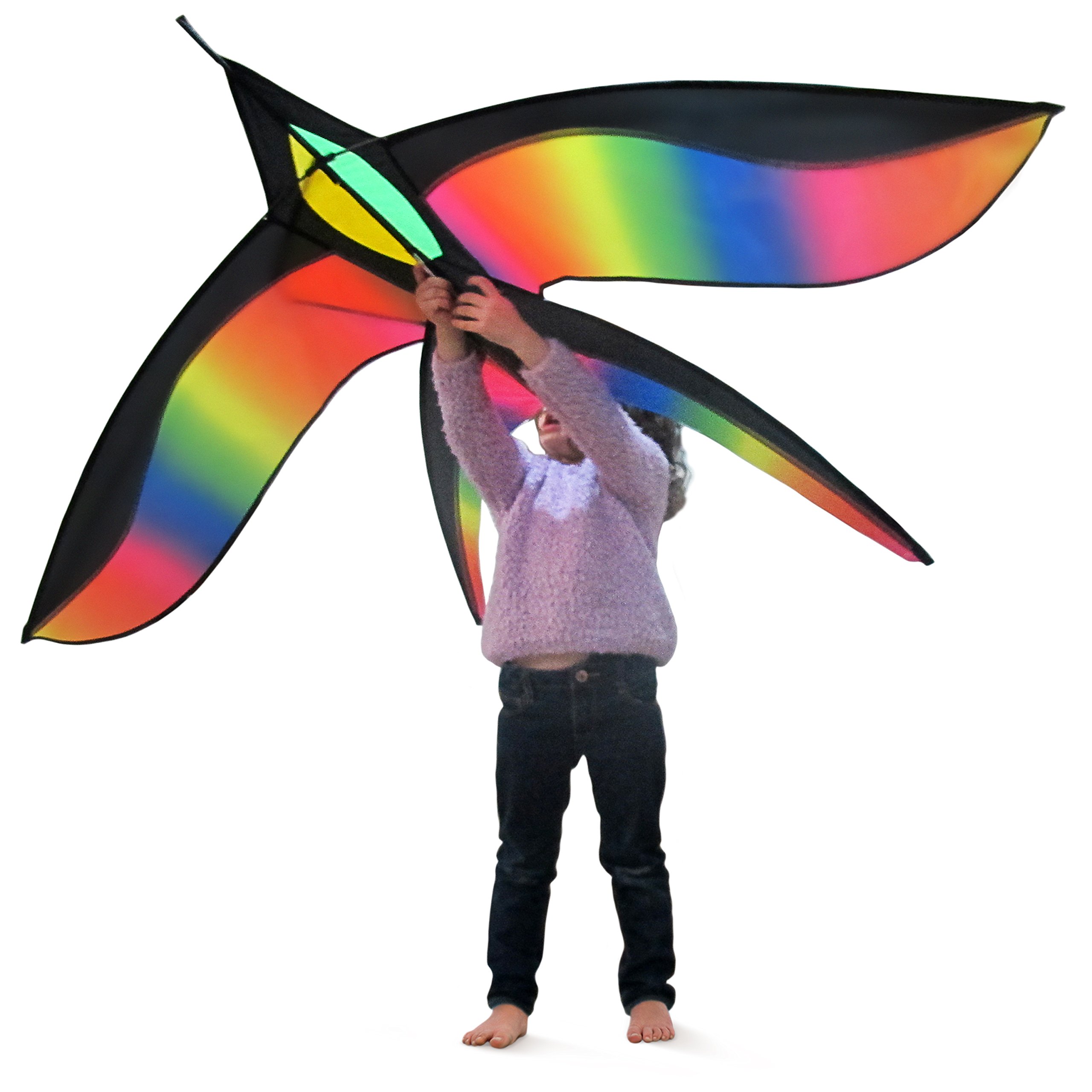 Huge Beginner Kite For Sale, Rainbow Bird 70x40 inch with String, Perfect Kites for Kids, Easy