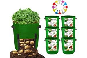 Taruimoo 6-Pack 10Gallon Potato Grow Bags,Heavy Duty Thickened Nonwoven Vegetable/Flower/Plant Fabric Pots with Handles (Green), Come with 12 Pcs Plant Labels