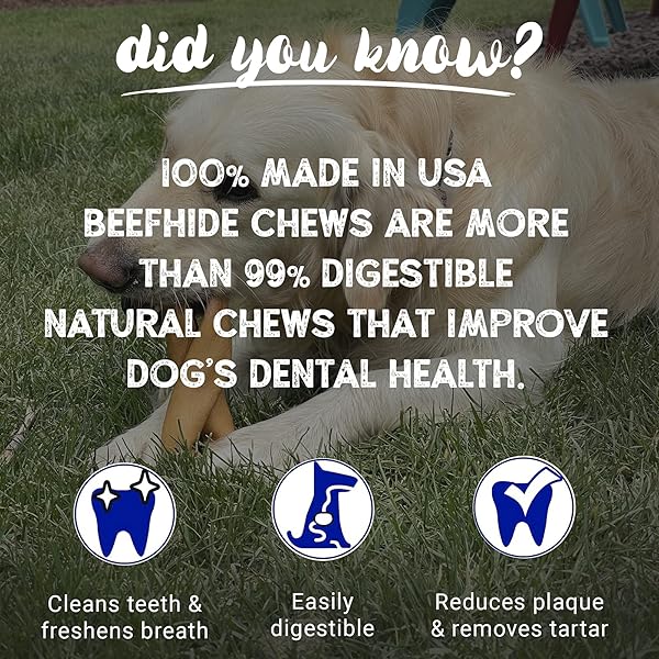 PET FACTORY 100% MADE IN USA BEEFHIDE CHIPS DOG CHEW TREATS – BEEF & CHICKEN FLAVOR, 8 OZ