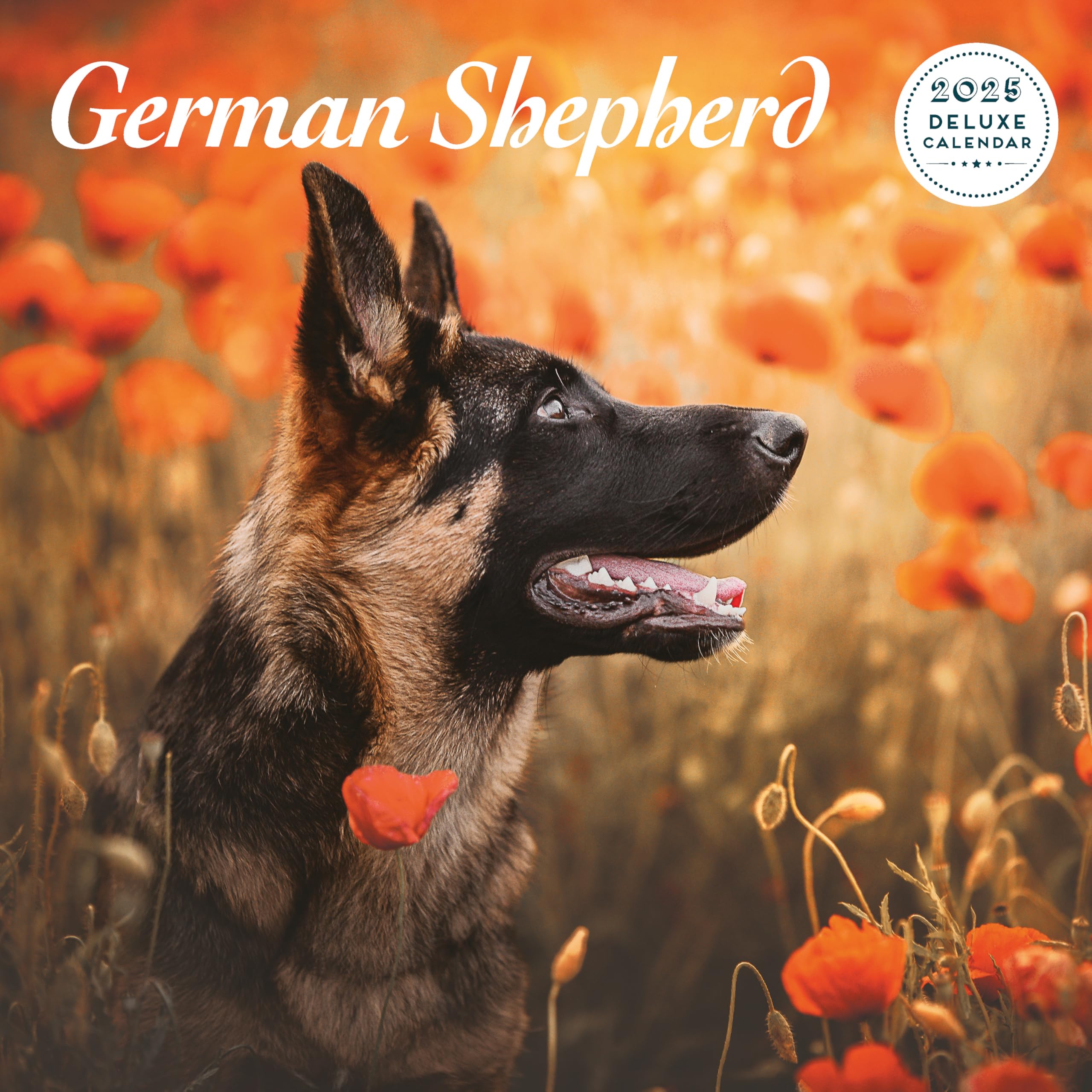 German Shepherd 2025 Deluxe Calendar