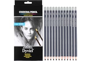 Dyvicl Professional Charcoal Pencils Drawing Set - 12 Pieces Soft Medium and Hard Charcoal Pencils for Drawing, Sketching, Shading, Artist Pencils for Beginners & Artists