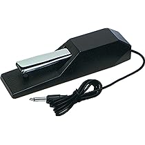 Amazon.com: Korg XVP20 Stereo Volume and Expression Pedal