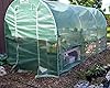 Quictent 2 Doors Reinforced PE Cover 12' X 7' X 7' Portable Greenhouse Large Walk-in Green Garden Hot House