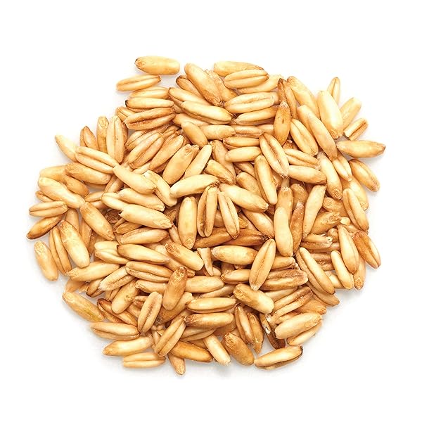 YUPIK ORGANIC WHOLE OAT GROATS,2.2 LB (35.2 OZ), NON-GMO, VEGAN, KOSHER, RAW, WHOLE GRAIN OATS, SALT-FREE, NUTTY FLAVOR, GOOD SOURCE OF FIBER, IDEAL FOR BAKING & COOKING