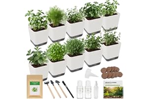 TITANIX 10-Set Indoor Herb Garden Starter Kit, 7 Seeds Growing into Basil, Parsley, Thyme, Mint, Cilantro, Dill, Oregano Including 10 White Pots, Markers, Nutritional Soil, Ideal Christmas Gifts for Women