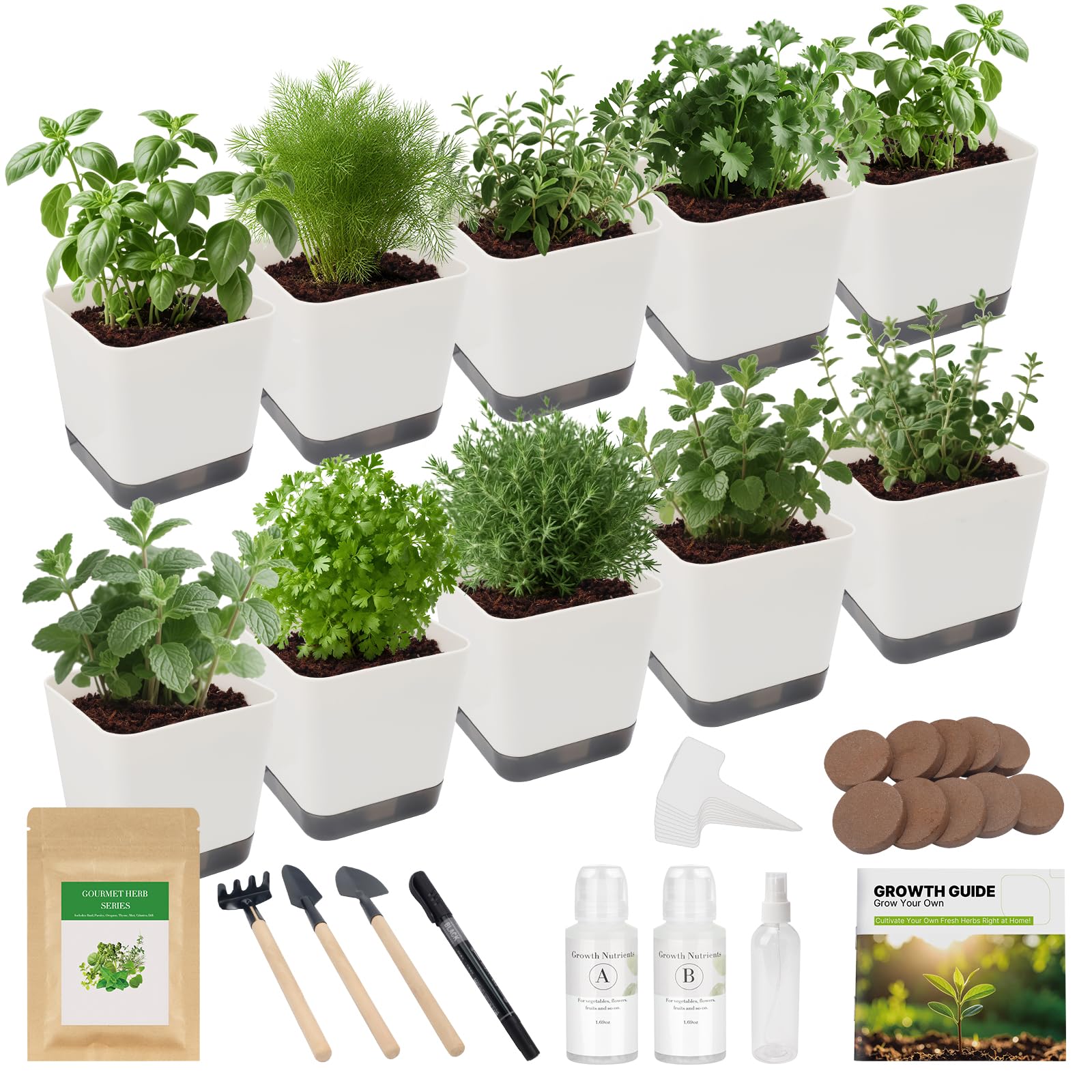 Photo 1 of 10-Set Indoor Herb Garden Starter Kit, 7 Seeds Growing into Basil, Parsley, Thyme, Mint, Cilantro, Dill, Oregano Including 10 White Pots, Markers, Nutritional Soil, Ideal Christmas Gifts for Women