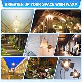 WAXP R7s 230W Dimmable Halogen Bulbs 118mm 2700K 4880lm Pack of 6 view 7