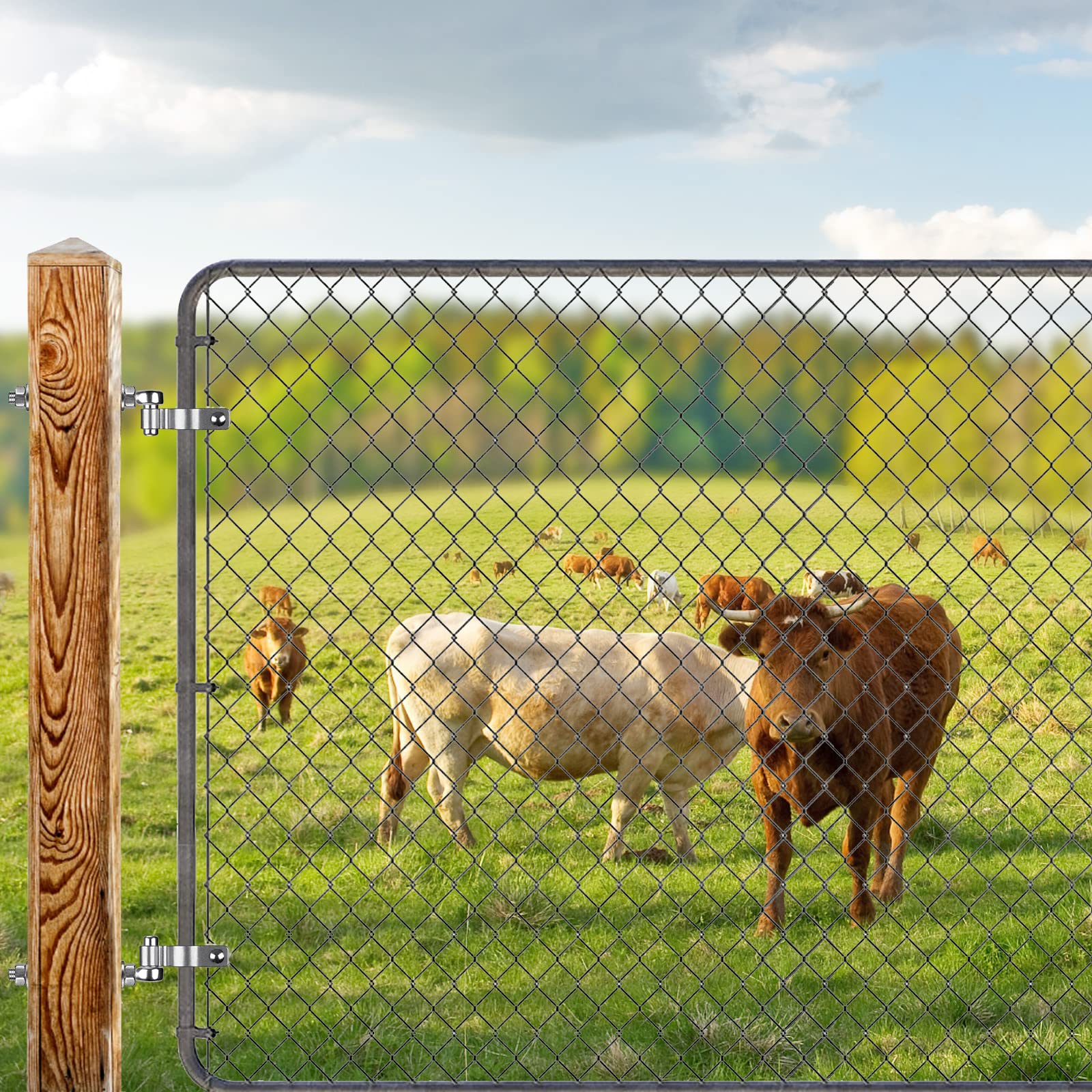 View 5