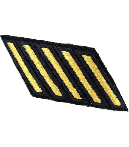Army Service Stripes
