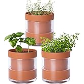 Phoenix Vine 4 Inch Self Watering Planter Pot, Terracotta Clay Pot with Glass Reservoir for Indoor Plants, Herbs, Flowers, Set of 3, 52-A-E-3