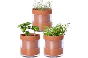 Phoenix Vine 4 Inch Self Watering Planter Pot, Terracotta Clay Pot with Glass Reservoir for Indoor Plants, Herbs, Flowers, Set of 3, 52-A-E-3