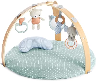 Ingenuity Reversible Duvet Activity Gym and Padded Play Mat Loamy