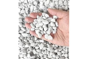 MDPQT 20 QT Professional Grade Horticultural Organic Perlite (20 QT, Large Size - Perlite)