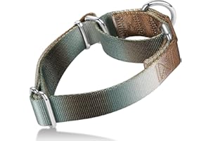 Axdvk Martingale Dog Collar Colorful Gradient Fashionable - Anti-Escape Soft Durable Pets Collar for Walking Training Outdoor Daily Use -Medium, Silver Brown