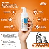 ICF CLX 4% Foam Mousse Dry Shampoo for Dogs & Cats 100 ml view 2