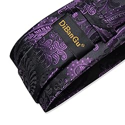 DiBanGu Silk Paisley Ties for Men Woven Necktie and
