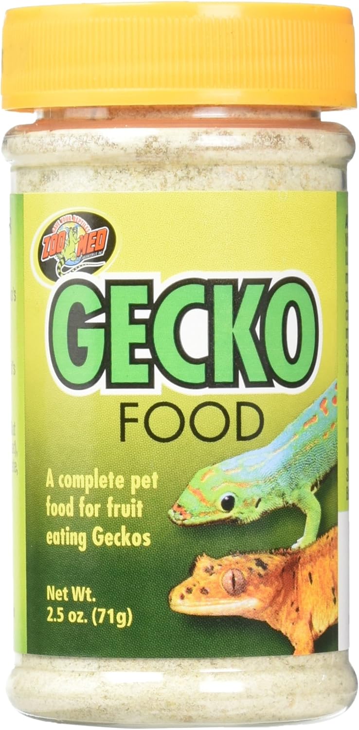 day gecko food