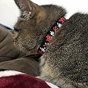 beastie bands amazon