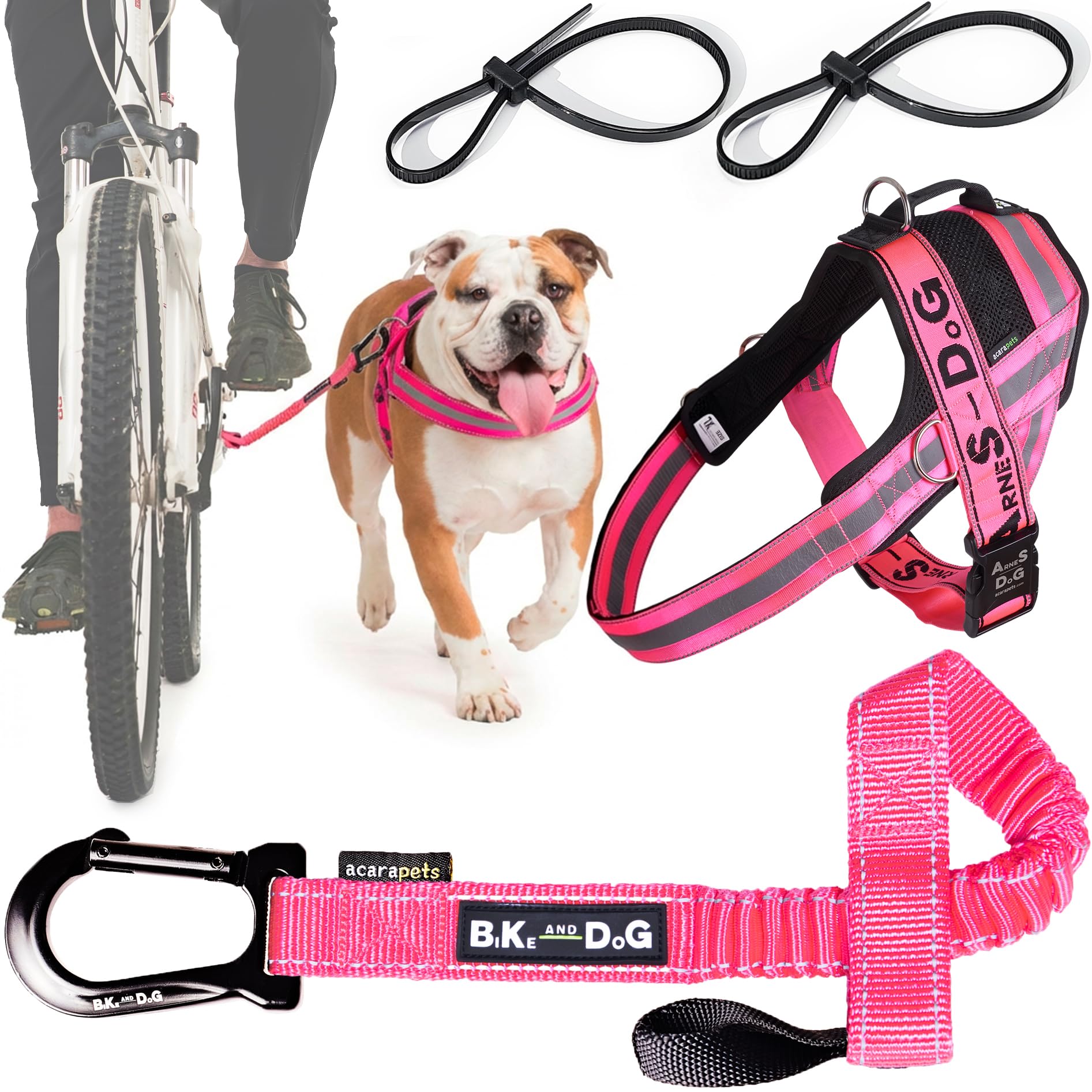 BIKE AND DOG - Dog leash and dog harness for bicycle, harness with side rings, includes 2 bicycle straps. Patented. (Pink, Leash-harness XL)