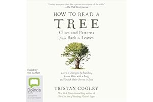 How to Read a Tree: Clues and Patterns from Bark to Leaves