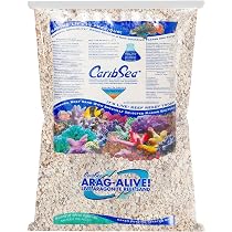 Carib Sea Reptilit Natur-Kalziumsand – 4,5 Kg Für Reptilien-Terrarien