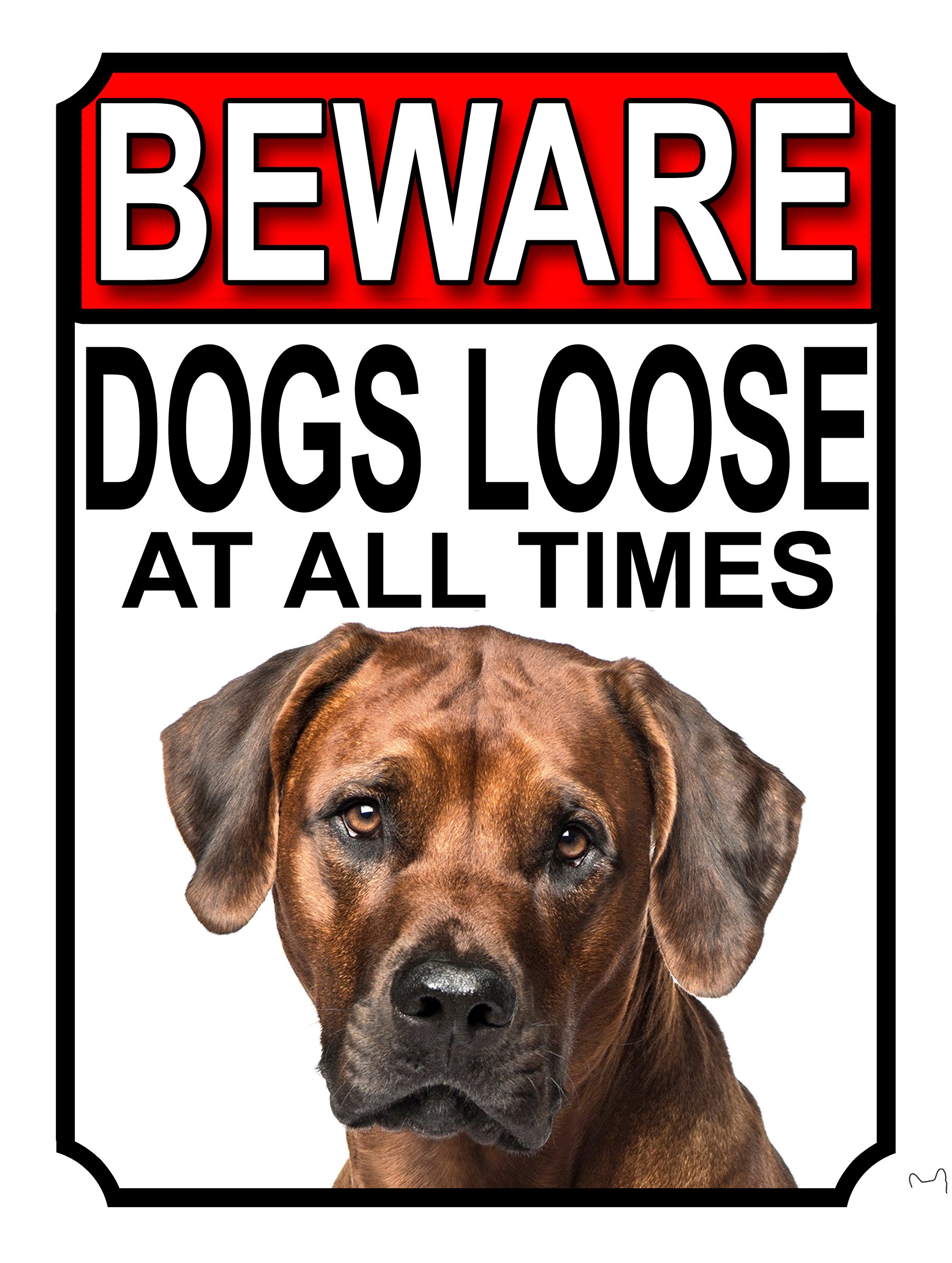 SHAWPRINT BEWARE DOGS LOOSE AT ALL TIMES METAL SIGN RHODESIAN RIDGEBACK 200MM X 150MM (1012H1) — image 1