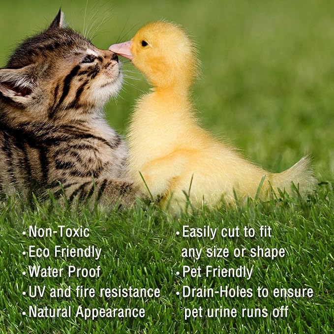 Parrillas en carrefour | Parrillas