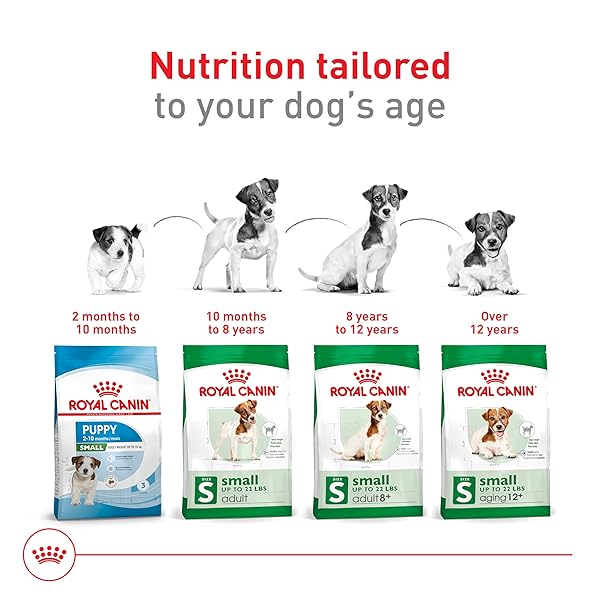 ROYAL CANIN SIZE HEALTH NUTRITION SMALL ADULT 8+ DRY DOG FOOD, 2.5 LB BAG