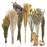 Sukh Natural Hamster Herb Bedding - Safe Cage