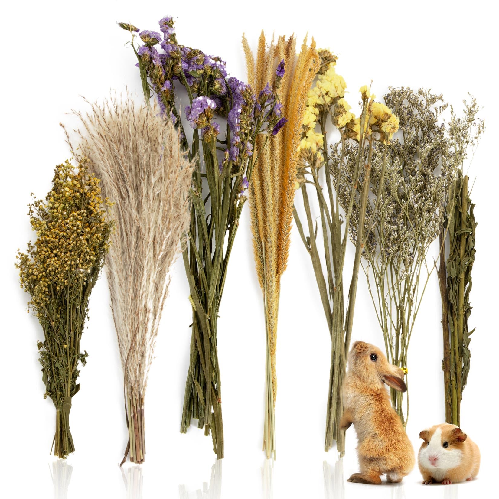 Photo 1 of Sukh 47Pcs Natural Hamster Herb Bedding - Safe Cage Accessories & Hideout Enclosure and Habitat Decor for Syrian Dwarf Hamsters, Guinea Pigs, Gerbils and Small Pets