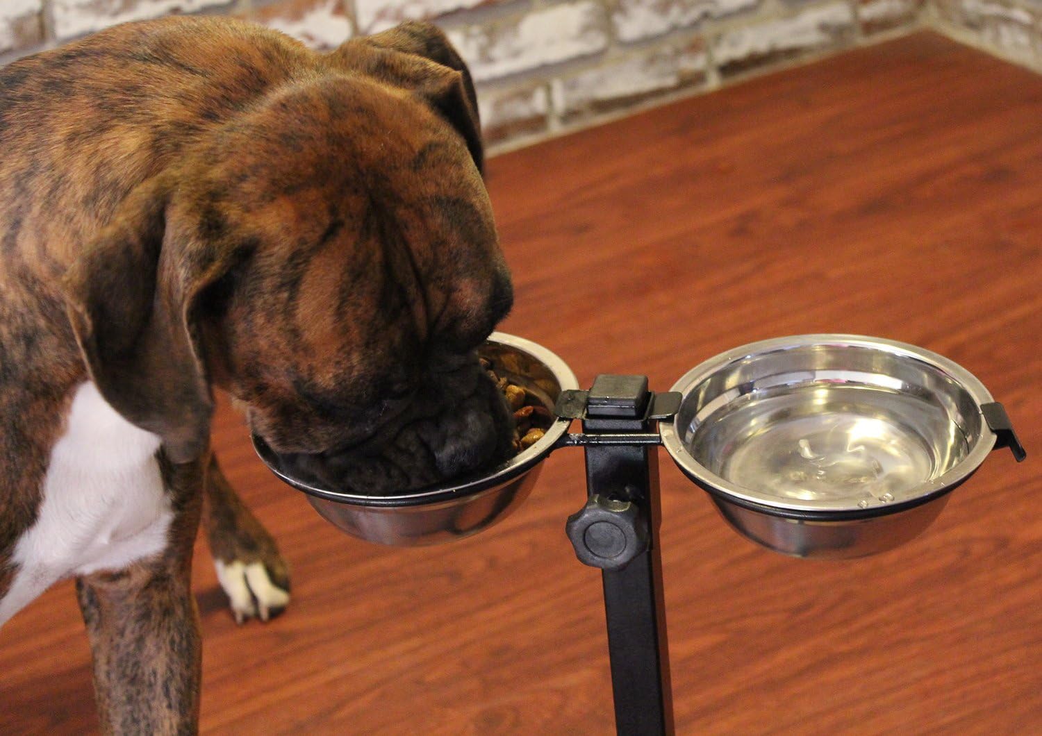Elevated Dog Bowls by ChiroPet | Adjustable Height Raised Pet Food & Water Dishes | Promote Your Pet's Healthy Digestion
