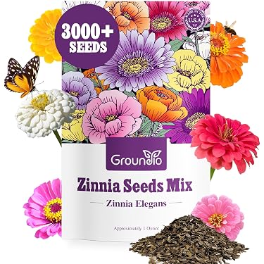 touch me not plant seeds 100 MIMOSA Pudica / SENSITIVE PLANT / Touch Me Not Flower Seeds