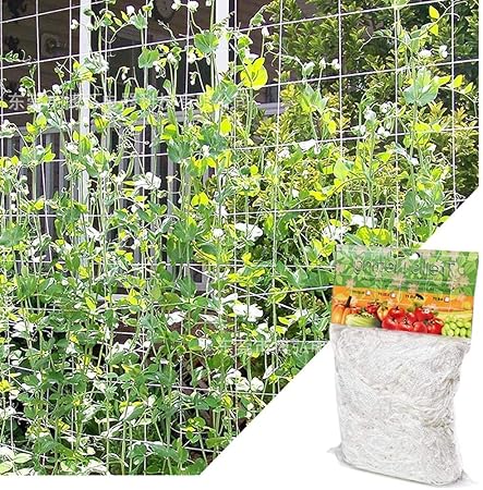 Ranknetz Fur Pflanzen 15 2 Cm Quadratisch Ranknetz Fur Garten Pflanzen Gestell Aus Polyester Fur Obst Gemuse Blumen Amazon De Garten