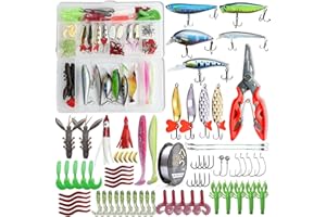 MYLBETER 281PCS Fishing Lure Tackle Box Fishing Lures Kit, Spoon Lures, Soft Plastic Worms, Frog Lures, Bait Tackle Kit for Bass, Trout, Salmon for Freshwater and Saltwater Fishing Accessories