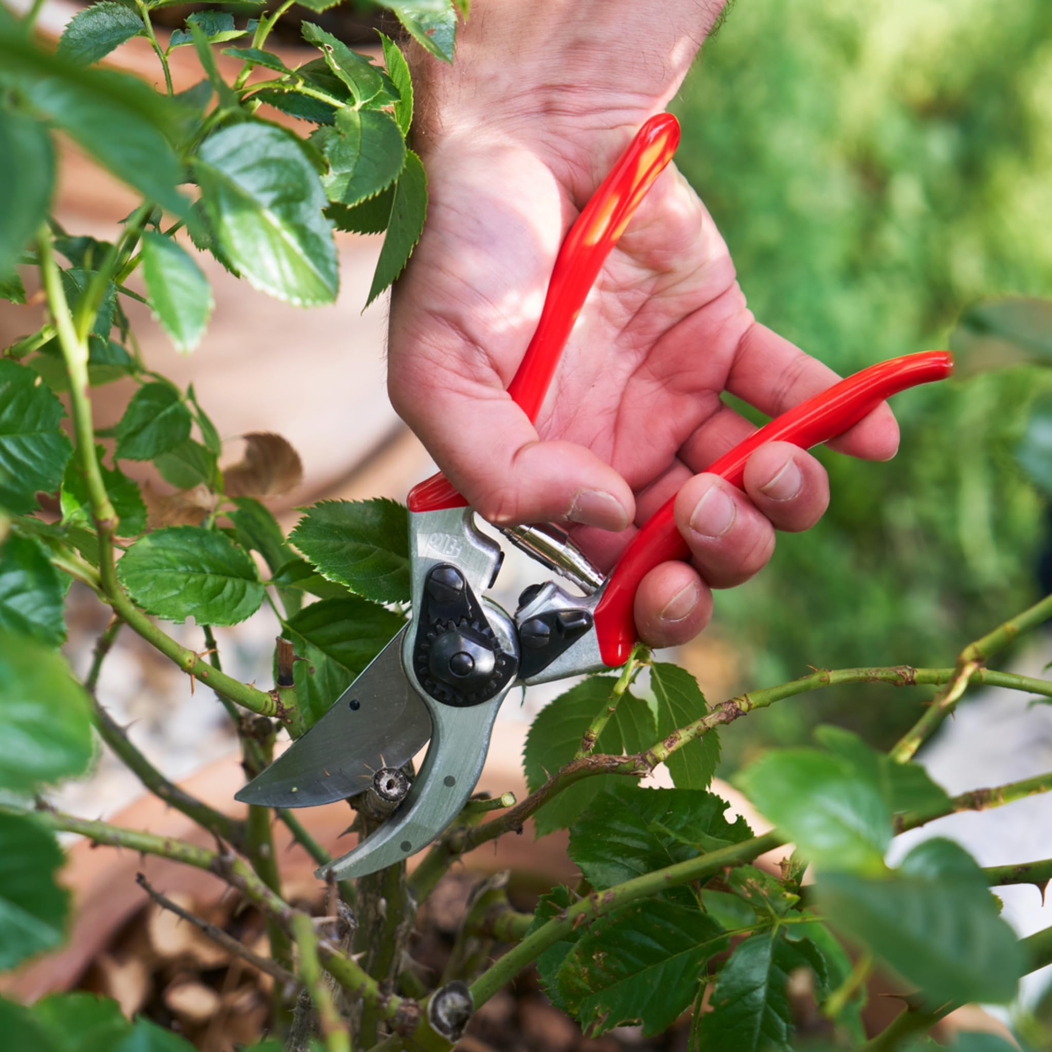 FELCO 2 professionelle Bypass-Gartenschere für Rechtshänder, 41 mm gehärtete Stahlklinge, geschmiedete Aluminiumgriffe, robustes Werkzeug für mittelgroße bis große Hände, 25 mm Schnitt, Swiss Made 6
